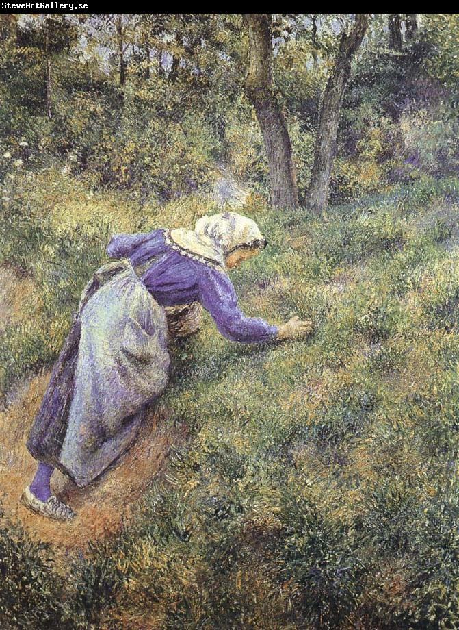 Camille Pissarro Collect grass